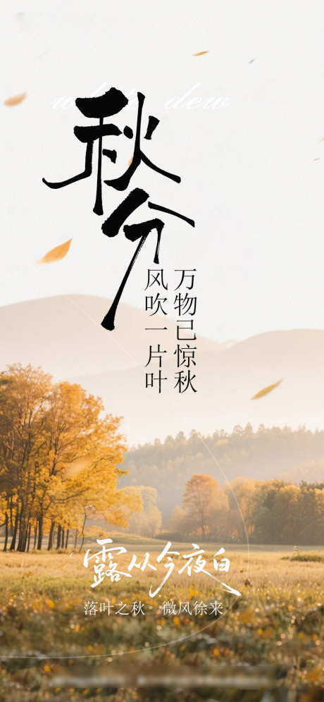 秋分节气海报
