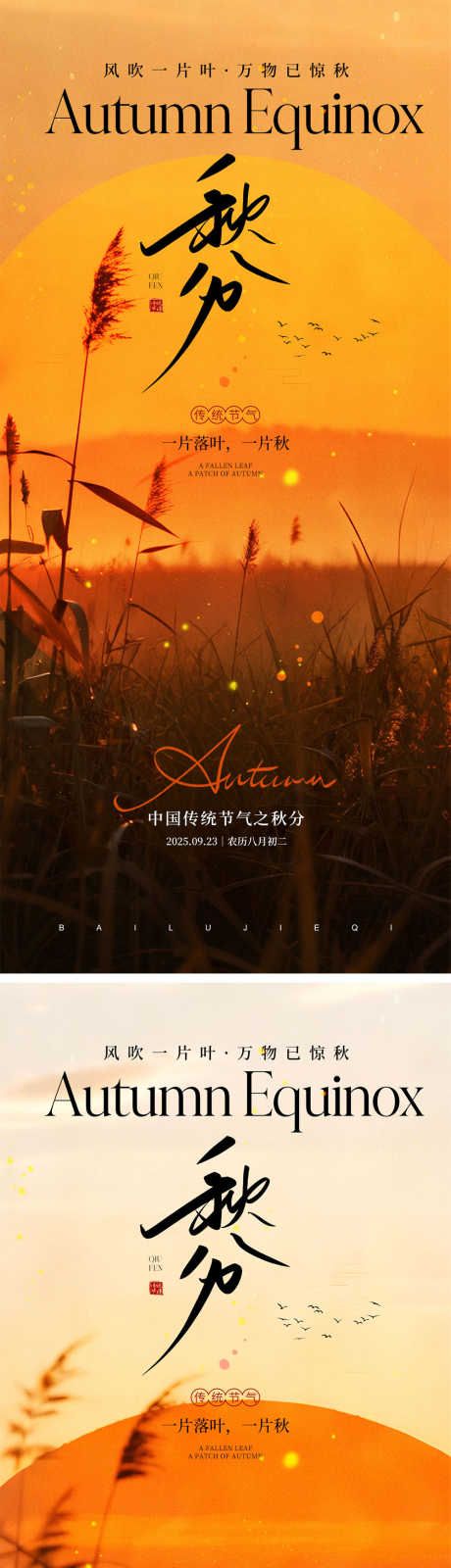 秋分节气宣传海报_源文件下载_PSD格式_1000X4340像素-24节气,黄色,落叶-作品编号:2025091409116461-志′设˒网