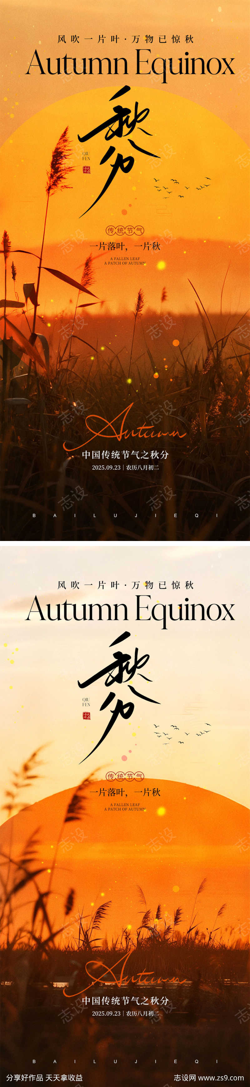 秋分节气宣传海报