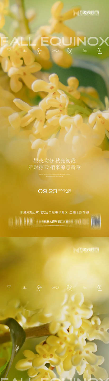 2025秋分节日二十四节气海报_源文件下载_AI格式_1125X4863像素-桂花,海报,节气-作品编号:2025091410226345-志`设·网