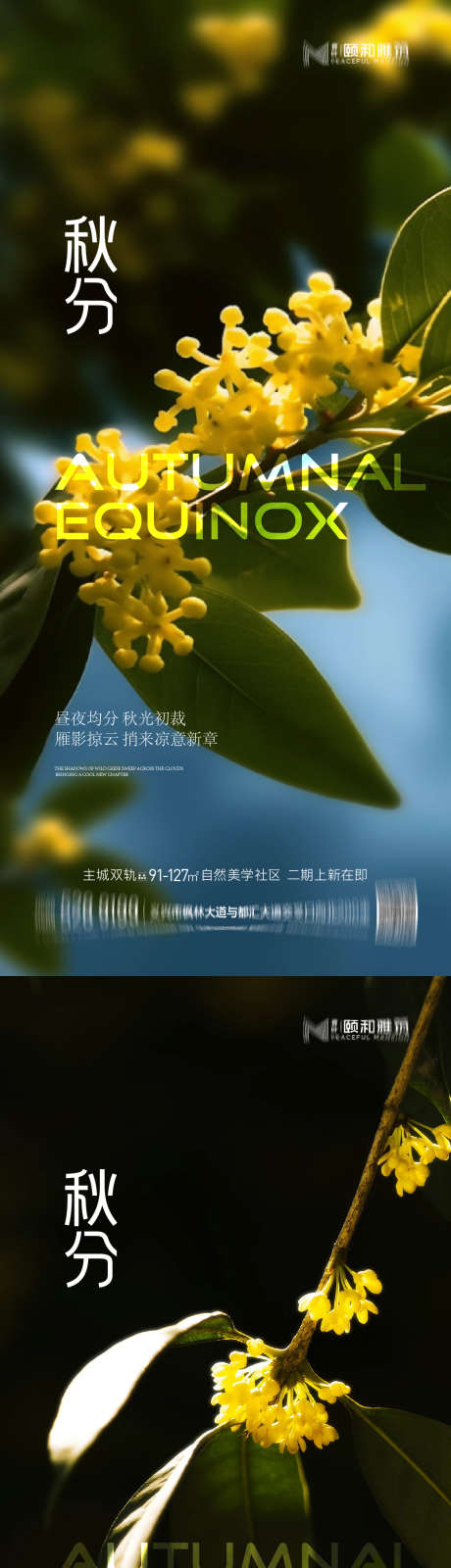 2025秋分节日二十四节气海报_源文件下载_AI格式_1125X4872像素-秋天,海报,节气-作品编号:2025091410204653-志.设ˌ网