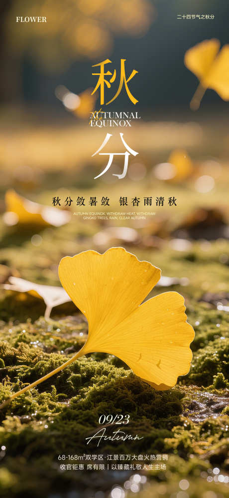 秋分实景设计海报_源文件下载_PSD格式_2000X4333像素-秋天,节气,秋季-作品编号:2025091411026919-志’设˙网