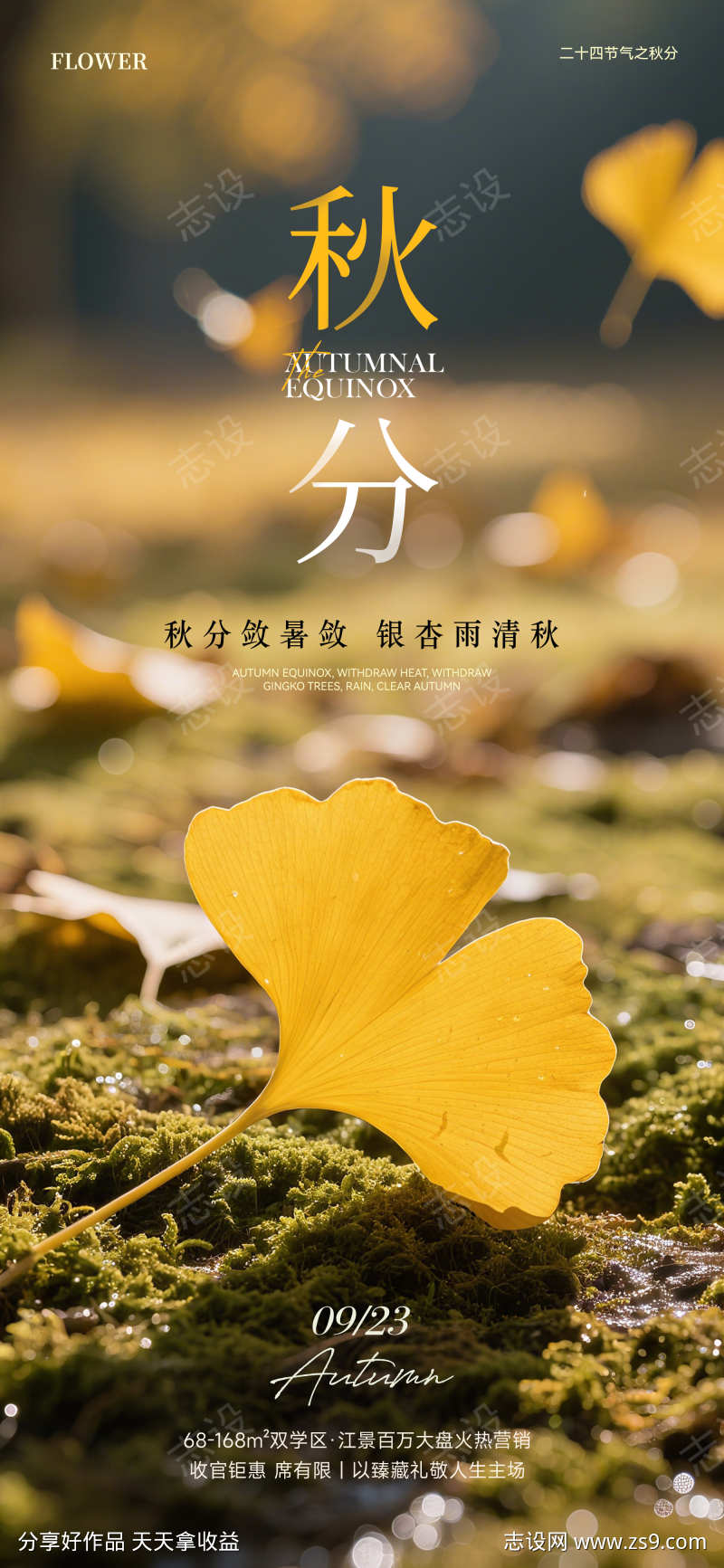 秋分实景设计海报