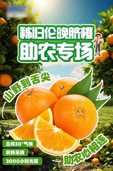 助农直播带货_源文件下载_PSD格式_1242X1880像素-助农,稻田,蔬菜-作品编号:2025101215473210-志‘设˒网