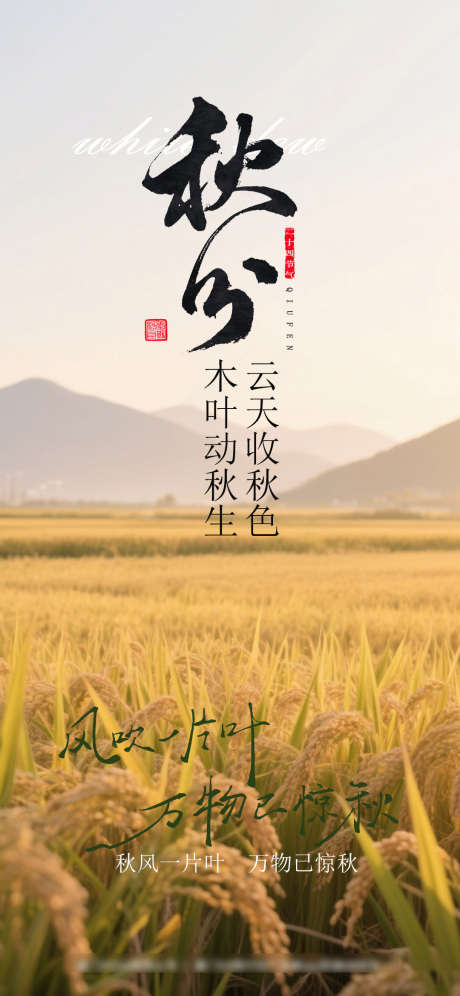 秋分节气海报_源文件下载_PSD格式_1080X2338像素-海报,节气,秋分-作品编号:2025091509158646-志·设·网