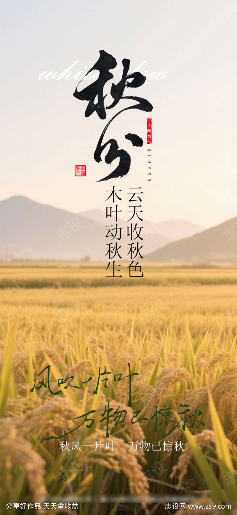 秋分节气海报