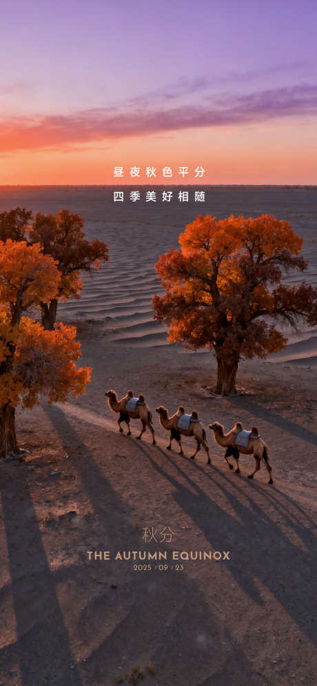 二十四节气秋分_源文件下载_AI,PSD格式_1125X2430像素-树,枫叶,简约-作品编号:2025091509357287-志˓设·网