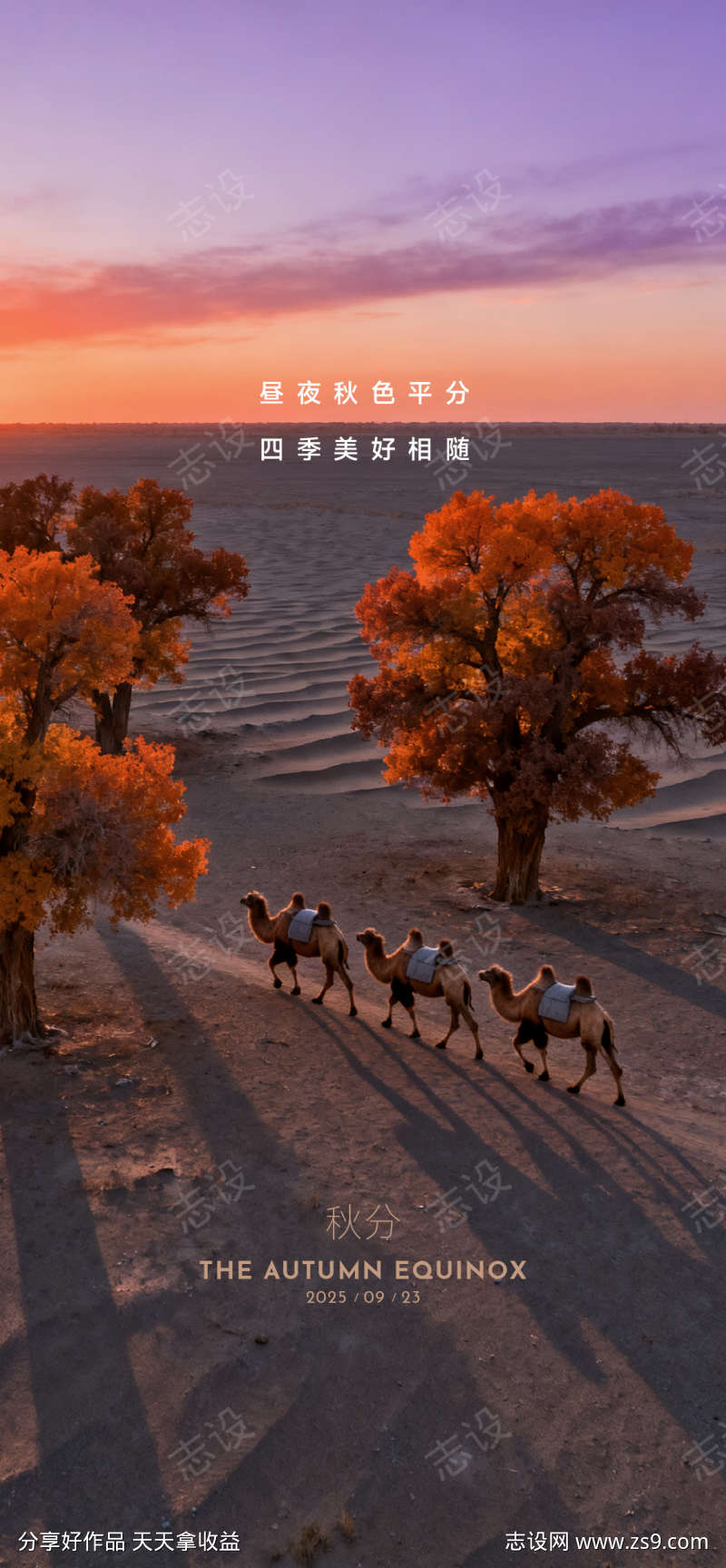 二十四节气秋分