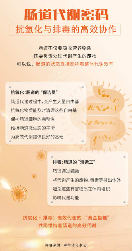 肠道代谢健康海报_源文件下载_PSD格式_1200X2278像素-肠道健康,科普,健康代谢-作品编号:2025091516496589-志,设˯网