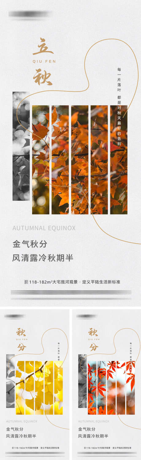 立秋秋分节气海报_源文件下载_PSD格式_1080X2340像素-枫叶,银杏叶,秋分-作品编号:2025091610221133-志˜设ˇ网