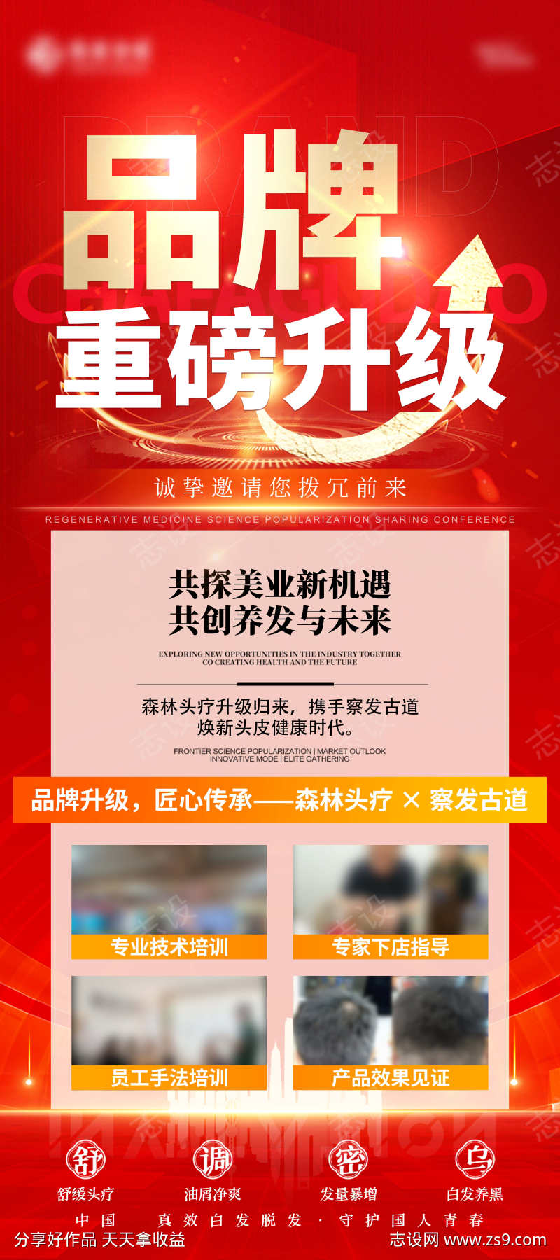品牌升级海报