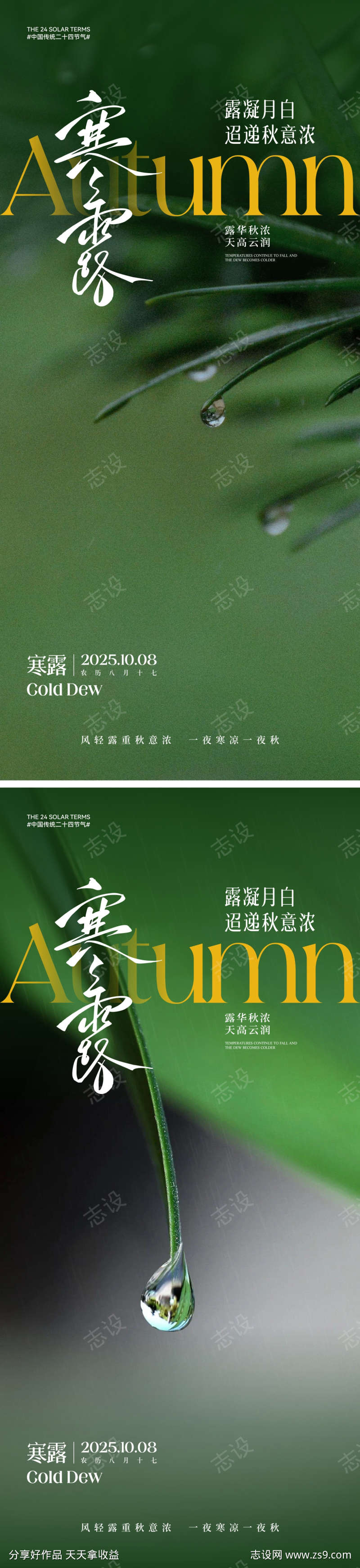 寒露节气海报