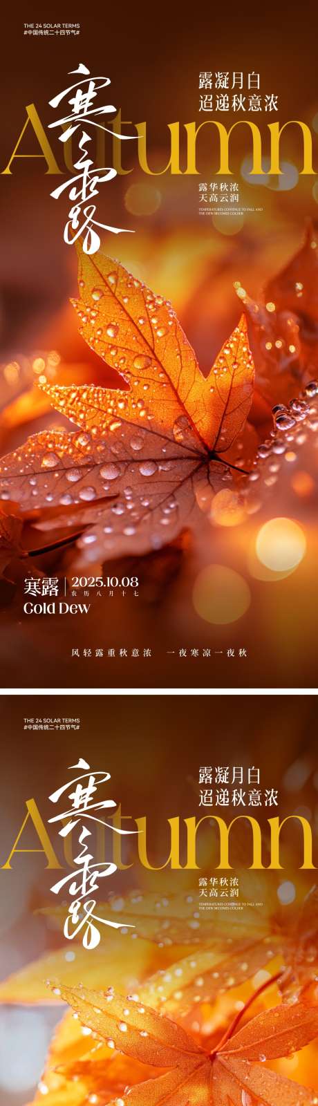 寒露节气海报_源文件下载_CDR,AI格式_2000X4330像素-海报,唯美,露珠-作品编号:2025091616398954-志ʹ֣֤֚֫֗ׄ设˲͓͕͔͐͑͗ٚٛٙ网