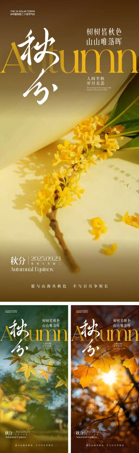 秋分节气海报_源文件下载_CDR,AI格式_2000X4330像素-书本,唯美,枫叶-作品编号:2025091616471710-志.设͵网