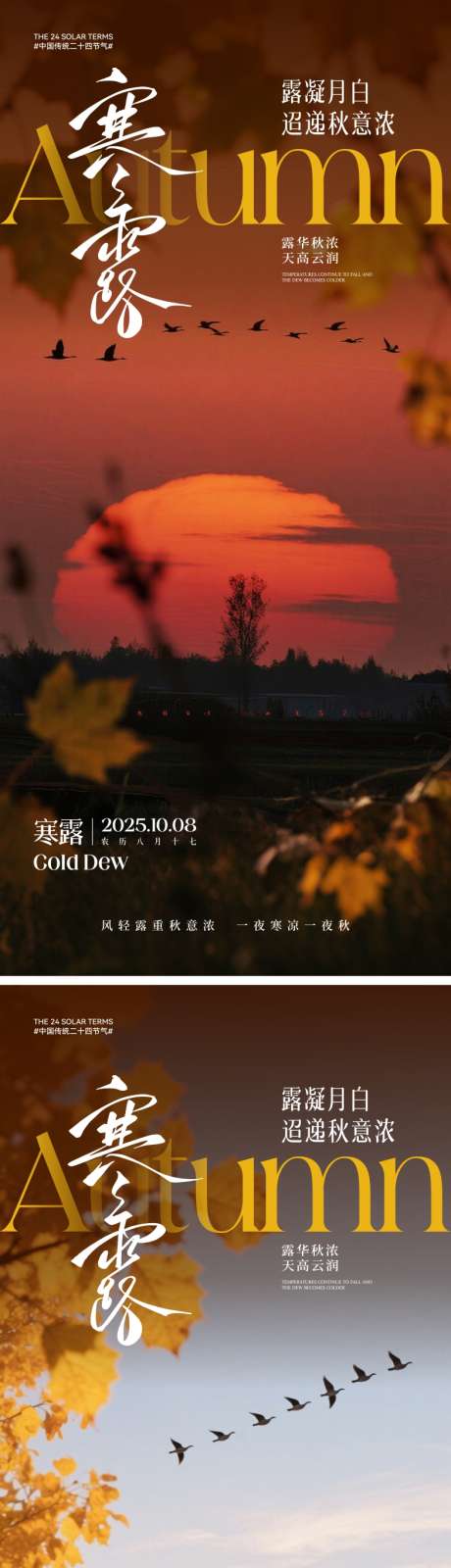 寒露节气海报_源文件下载_CDR格式_2000X4330像素-风景,大雁,二十四节气-作品编号:2025091616493038-志′设˓网
