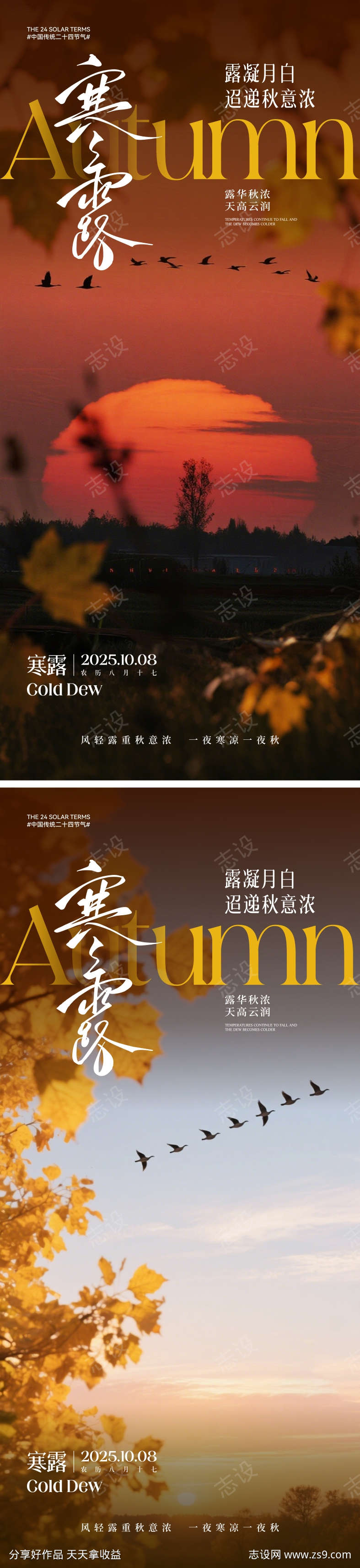 寒露节气海报