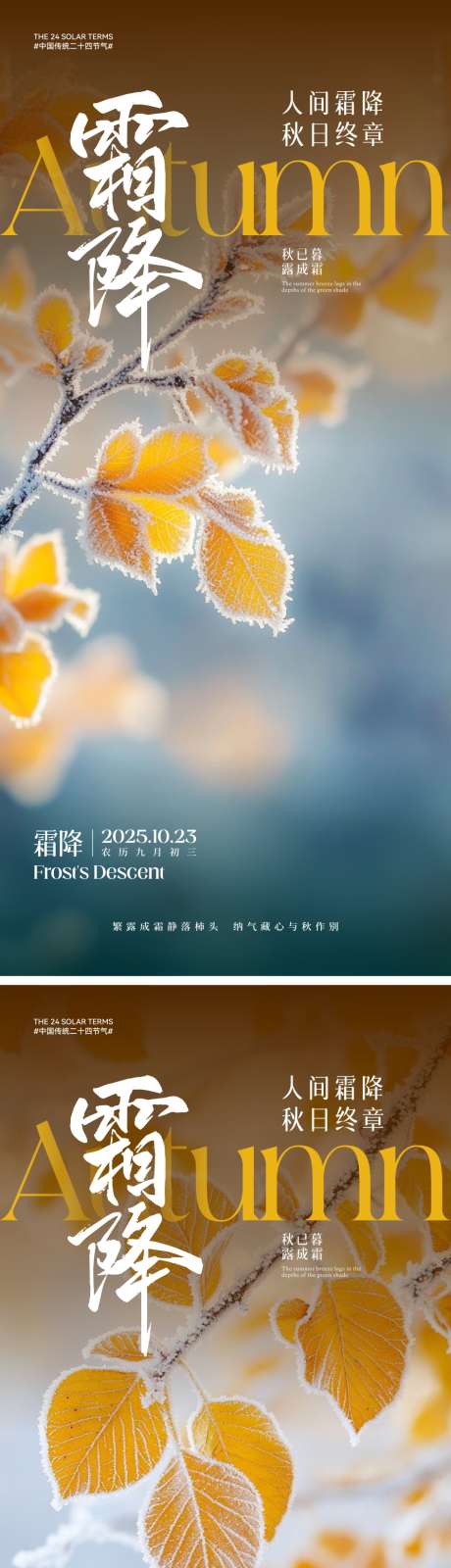 霜降节气海报_源文件下载_CDR,AI格式_2000X4330像素-海报,唯美,霜花-作品编号:2025091616522928-志′设’网