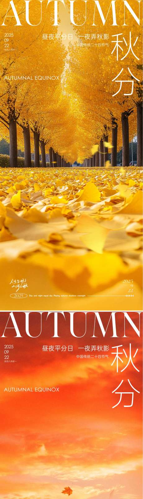 秋分节气海报_源文件下载_CDR格式_1081X4689像素-唯美,落叶,枫叶-作品编号:2025091814371070-志͵设˒网