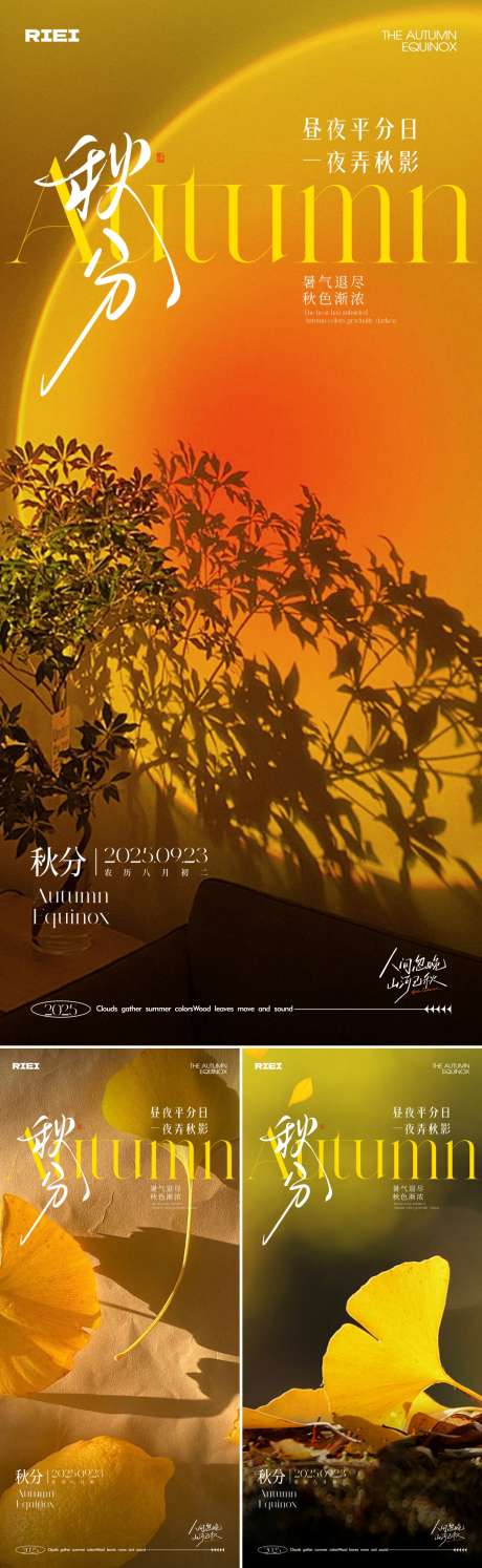 秋分节气海报_源文件下载_CDR格式_1087X3531像素-落叶,银杏叶,秋天-作品编号:2025091814493612-志͵设ˇ网