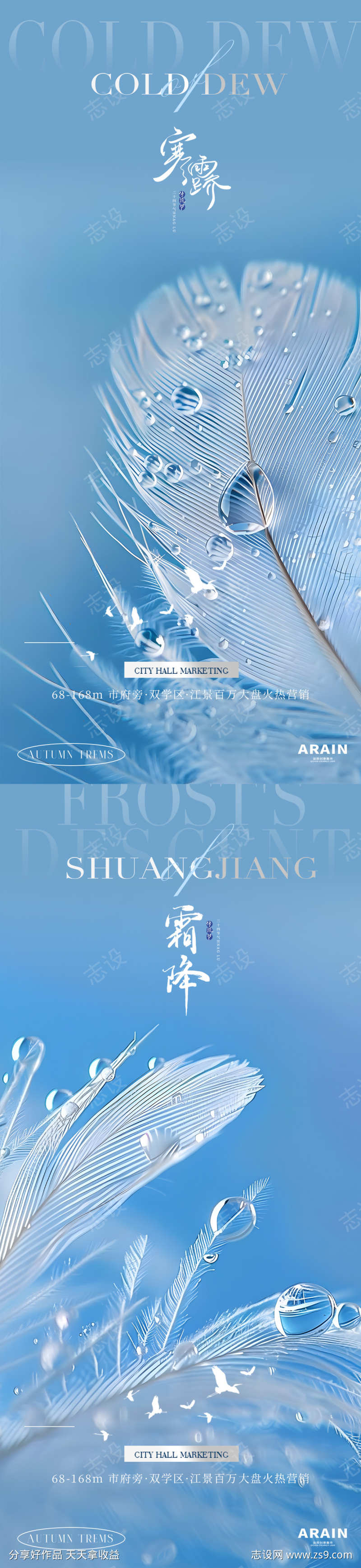 寒露霜降海报