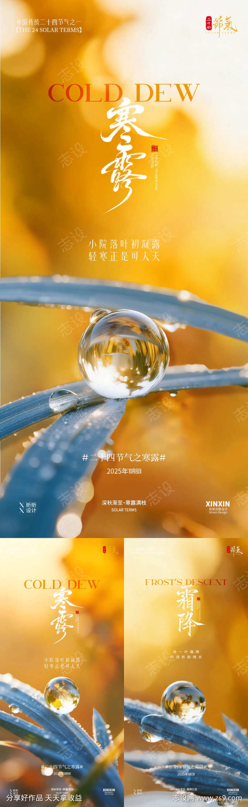 地产寒露节气露珠海报