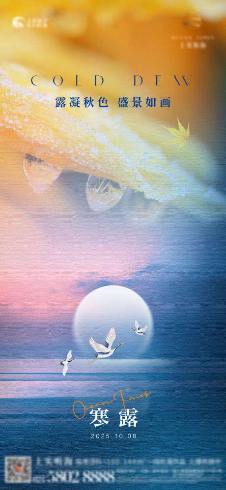 寒露节气海报_源文件下载_AI,PSD格式_1079X2338像素-枫叶,露珠,海-作品编号:2025092213472589-志˓设˲͓͕͔͐͑͗ٚٛٙ网