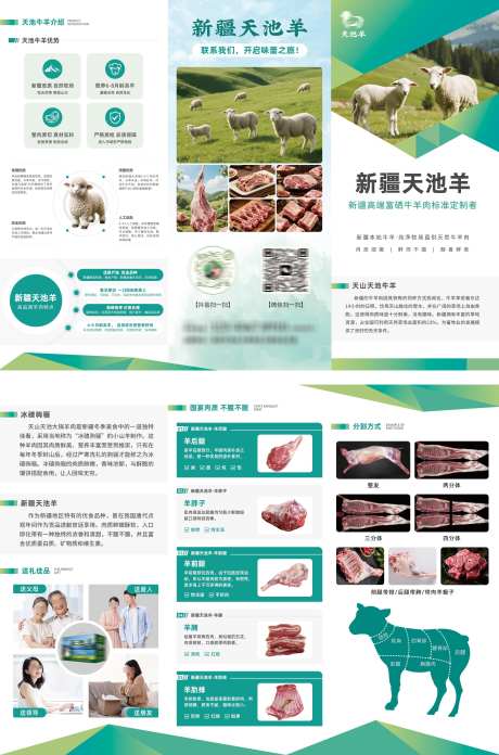 宣传手册三折页_源文件下载_PSD格式_3437X5200像素-手册,绿色,简约-作品编号:2025092313218015-志˜设˙网