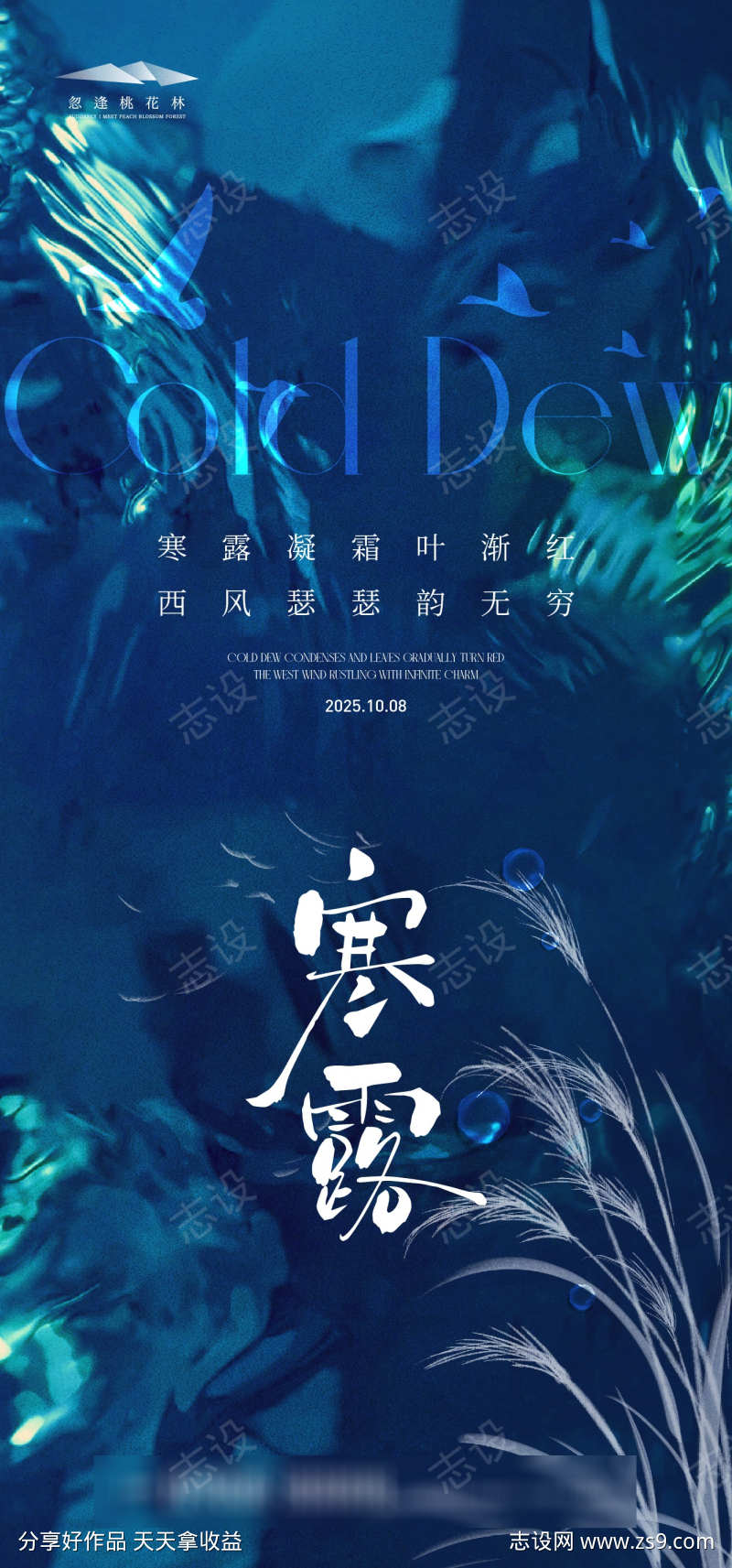 寒露简约海报