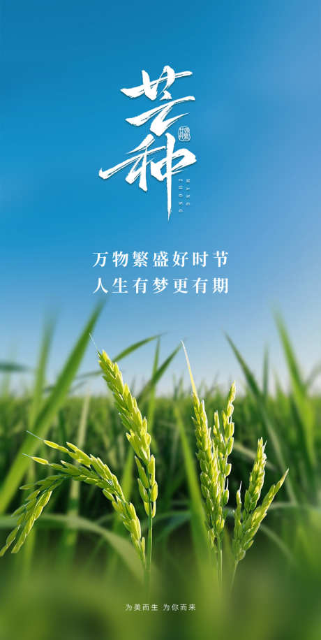 二十四芒种节气海报_源文件下载_PSD格式_1080X2150像素-芒种,节气,海报-作品编号:2025092313092833-志·设˰网