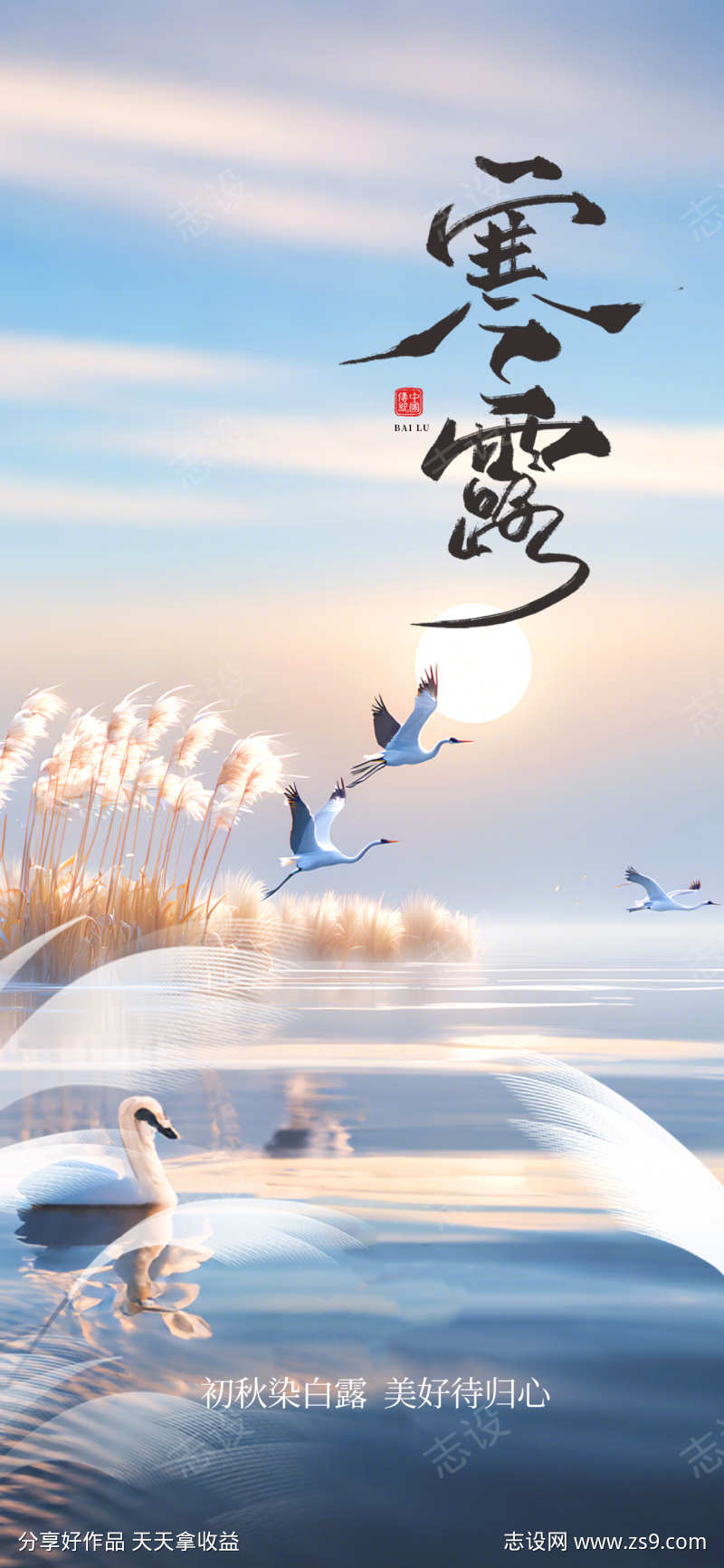 寒露节气海报