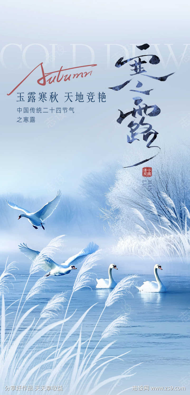 寒露节气海报