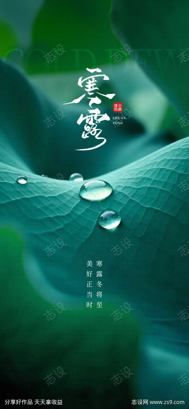 寒露节气海报