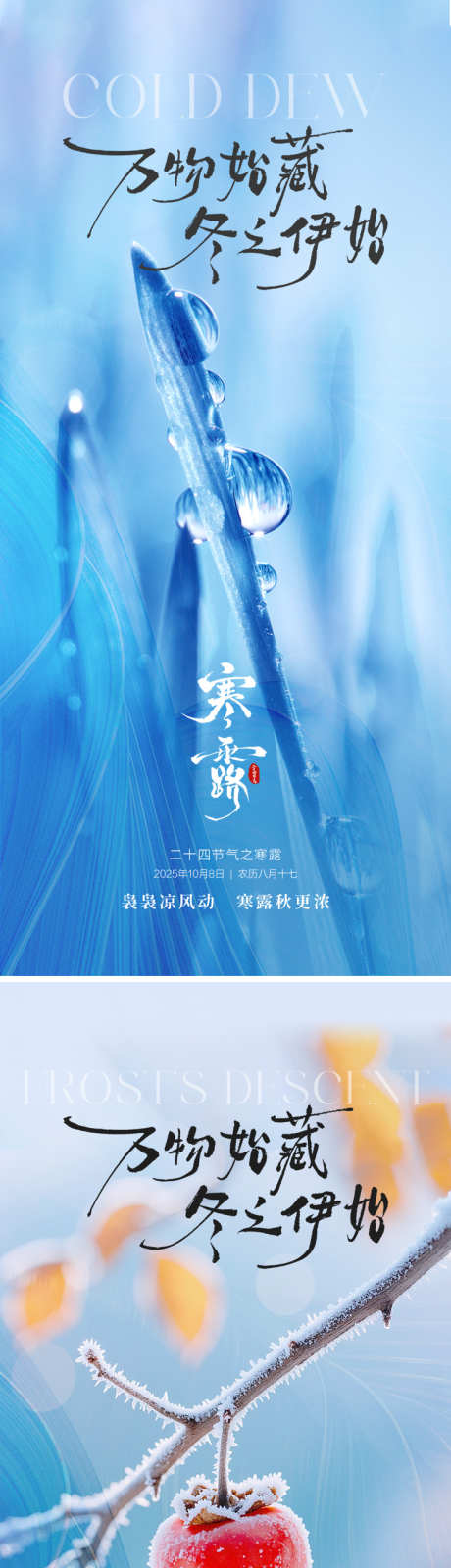 二十四节气寒露霜降海报_源文件下载_PSD格式_750X3258像素-意境,露珠,柿子-作品编号:2025092315341349-志ˉ设˓网