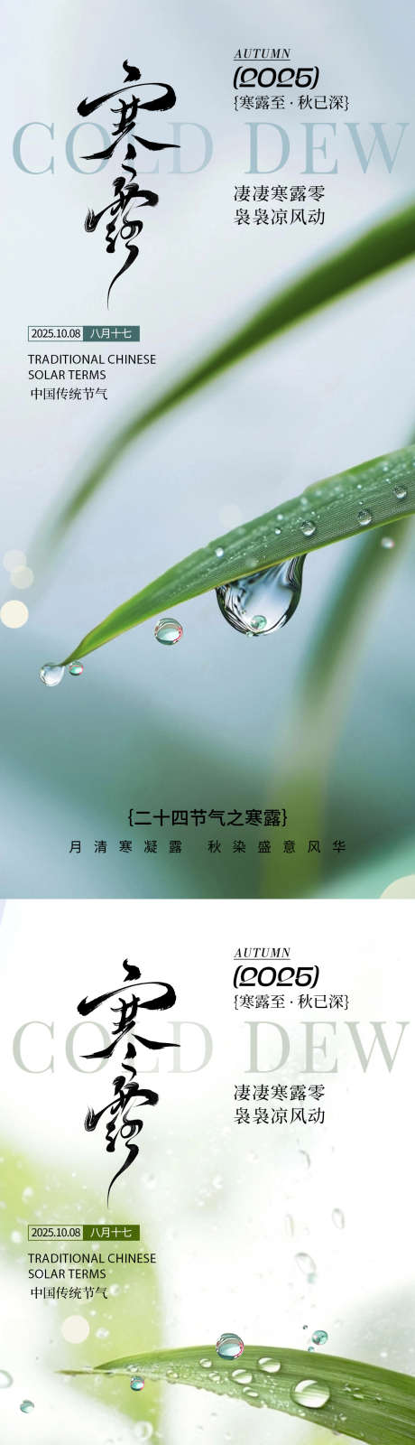寒露节气海报_源文件下载_PSD格式_1125X2436像素-寒露海报,寒露节气,寒露-作品编号:2025092311444719-志’设˲͓͕͔͐͑͗ٚٛٙ网