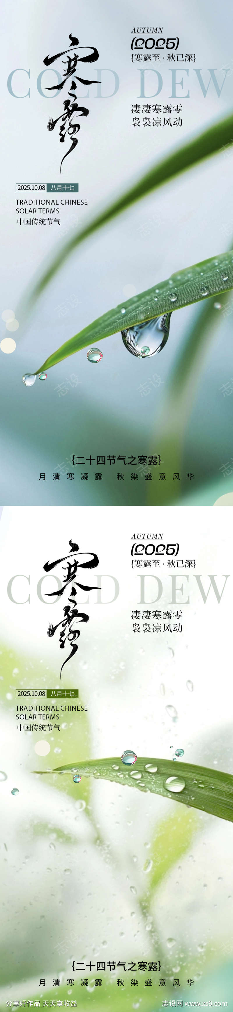 寒露节气海报