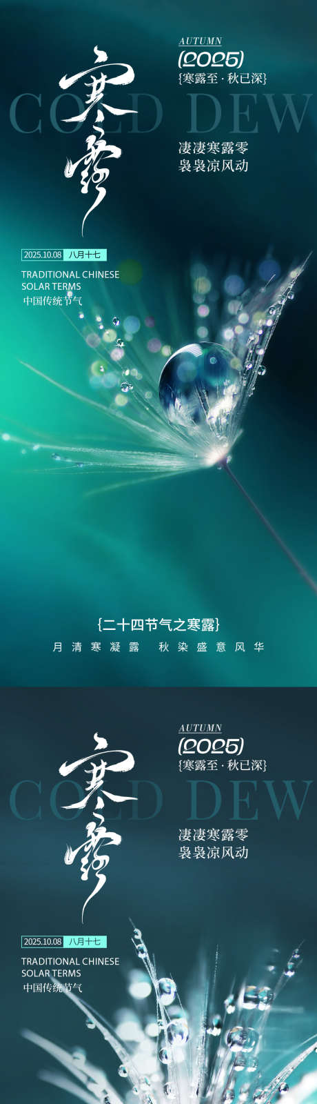 寒露节气海报_源文件下载_PSD格式_1125X2346像素-海报,节气,秋天-作品编号:2025092311511202-志‘设`网