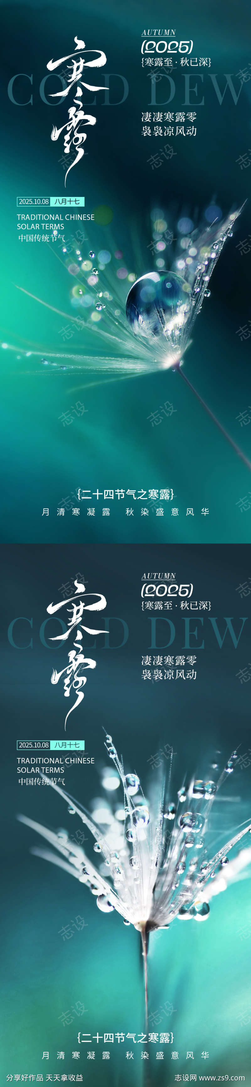 寒露节气海报