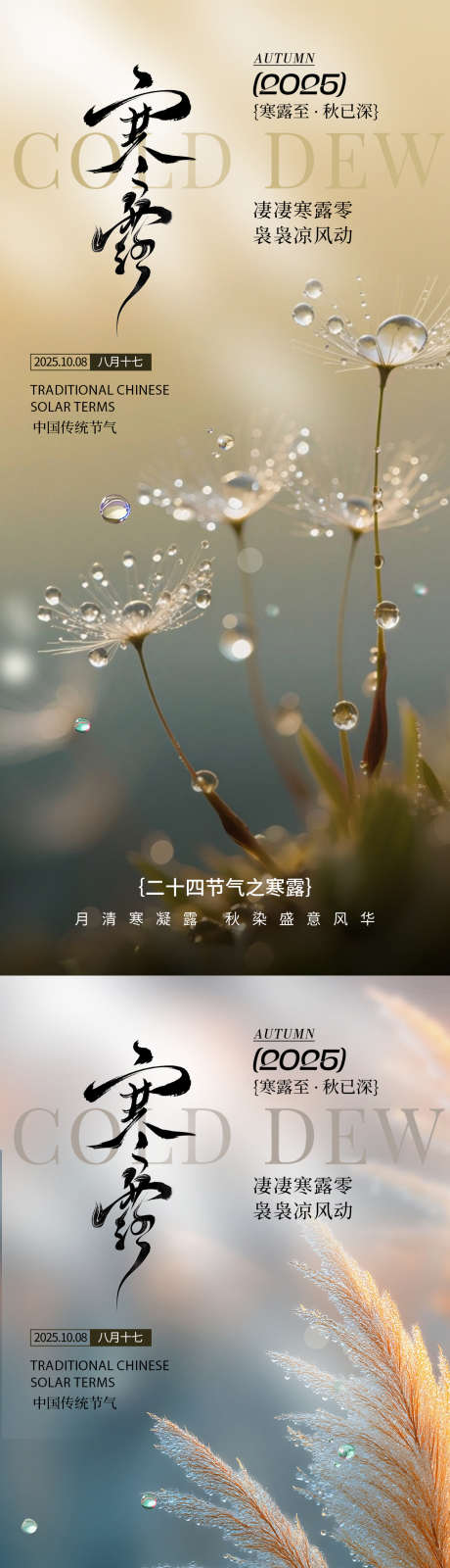 寒露氛围海报_源文件下载_PSD格式_1125X2346像素-海报,节气,秋天-作品编号:2025092311541013-志ʹ֣֤֚֫֗ׄ设ˉ网
