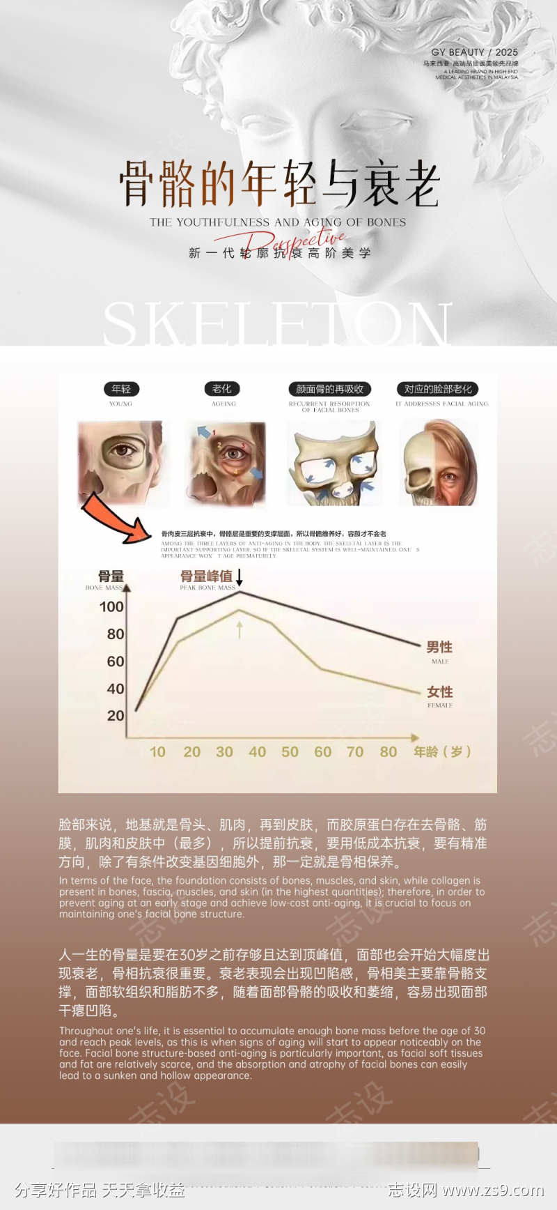骨骼抗衰科普