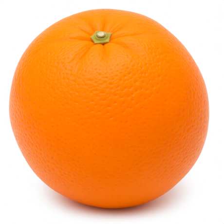 橙子插画图_AI图片下载_采样_1024X1024像素-简约,水果,插画-作品编号:2025092508336010-志˯设˱网