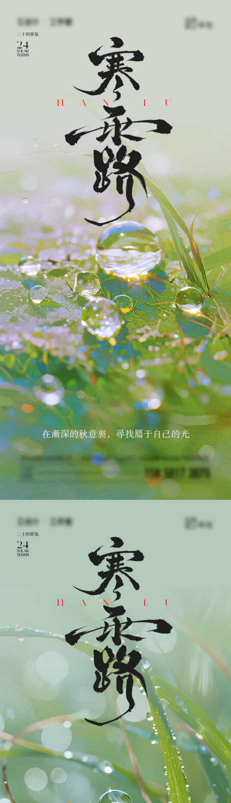 寒露节气海报_源文件下载_PSD格式_750X4872像素-水滴,寒露,节气-作品编号:2025092515354188-志͵设ˆ网