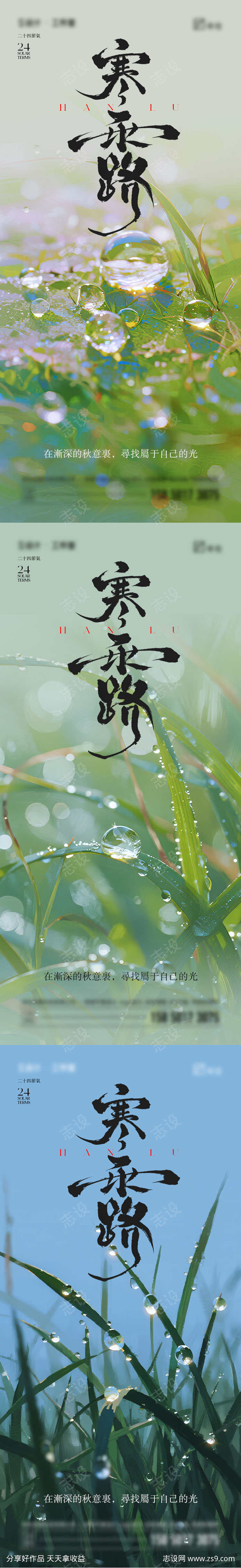 寒露节气海报