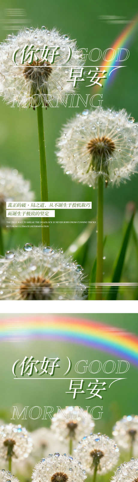 正能量日签海报_源文件下载_PSD格式_1080X4780像素-每日语录,日签,风景-作品编号:2025092608457463-志˓设·网