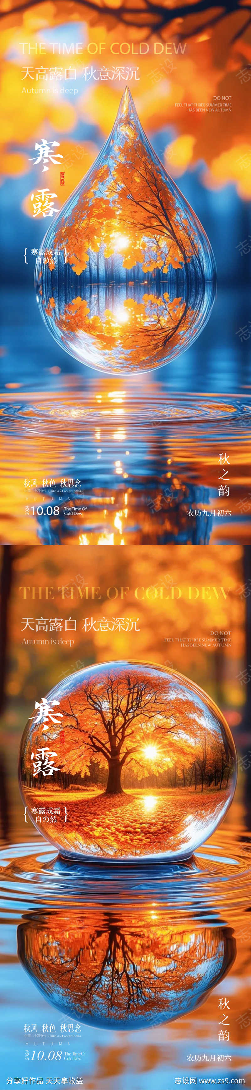 寒露节气海报