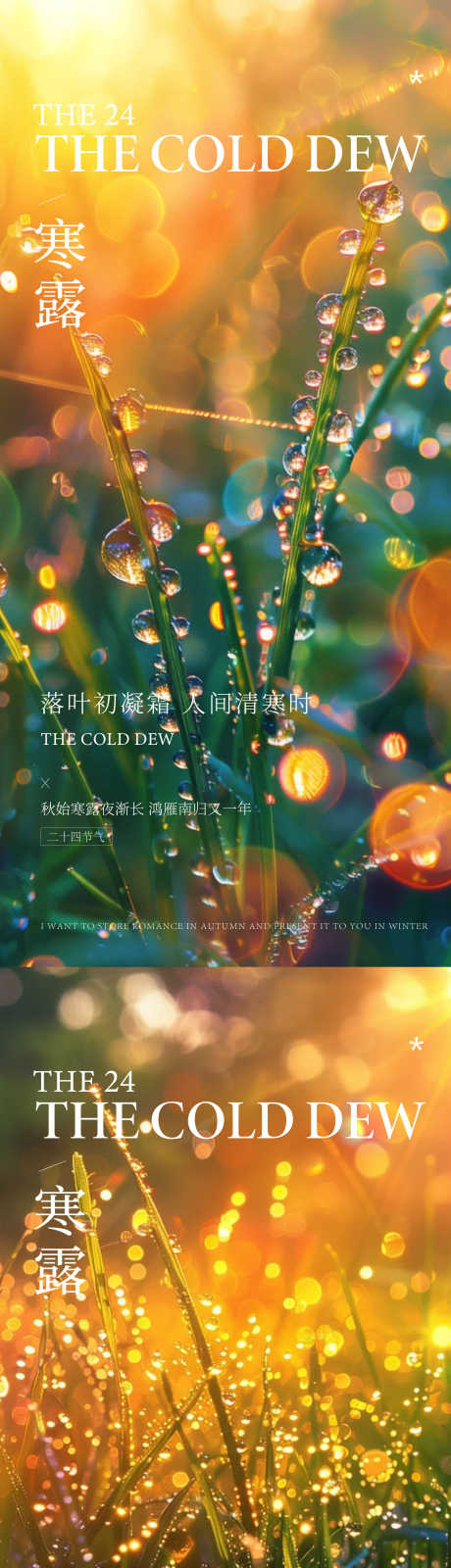 寒露节气海报_源文件下载_PSD,AI格式_2256X9678像素-露珠,寒露,秋天-作品编号:2025092608504436-志′设˜网