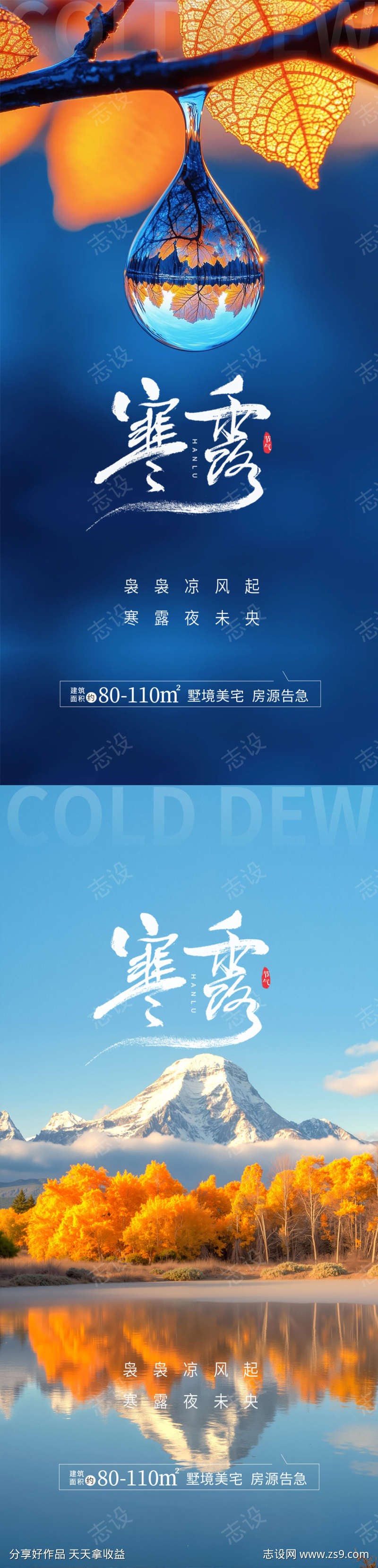 寒露节气海报