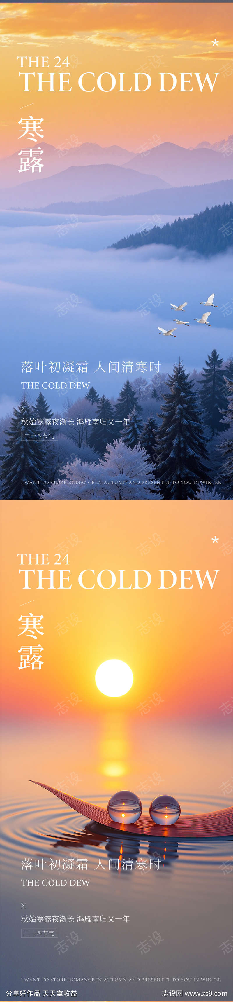 寒露节气海报