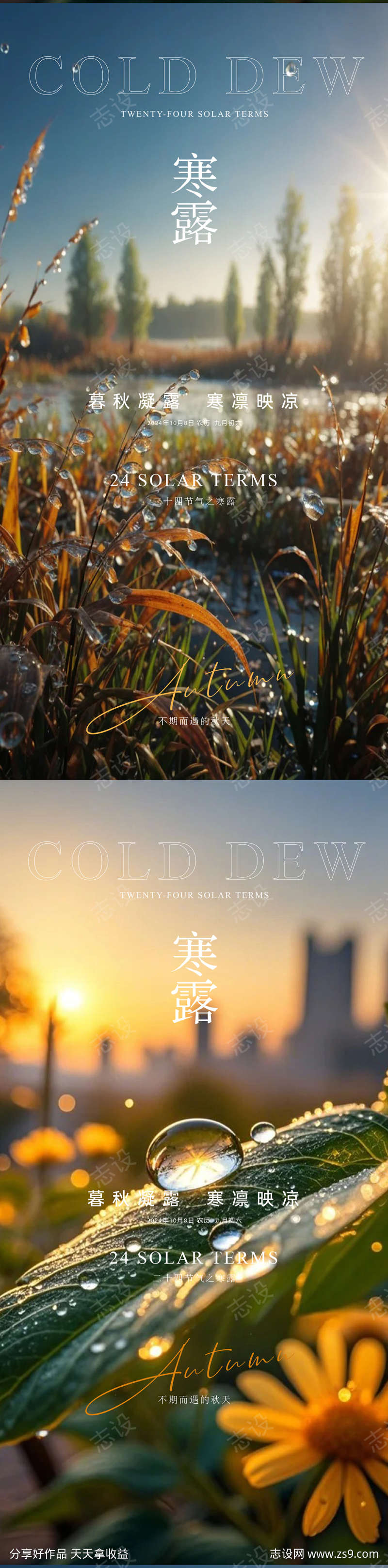 寒露霜降大寒