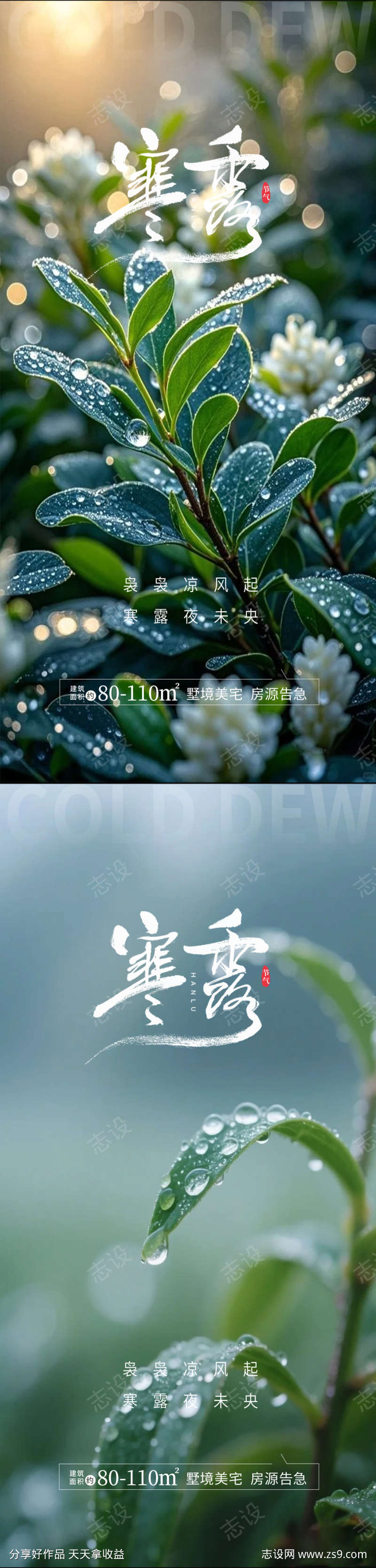 寒露霜降大寒