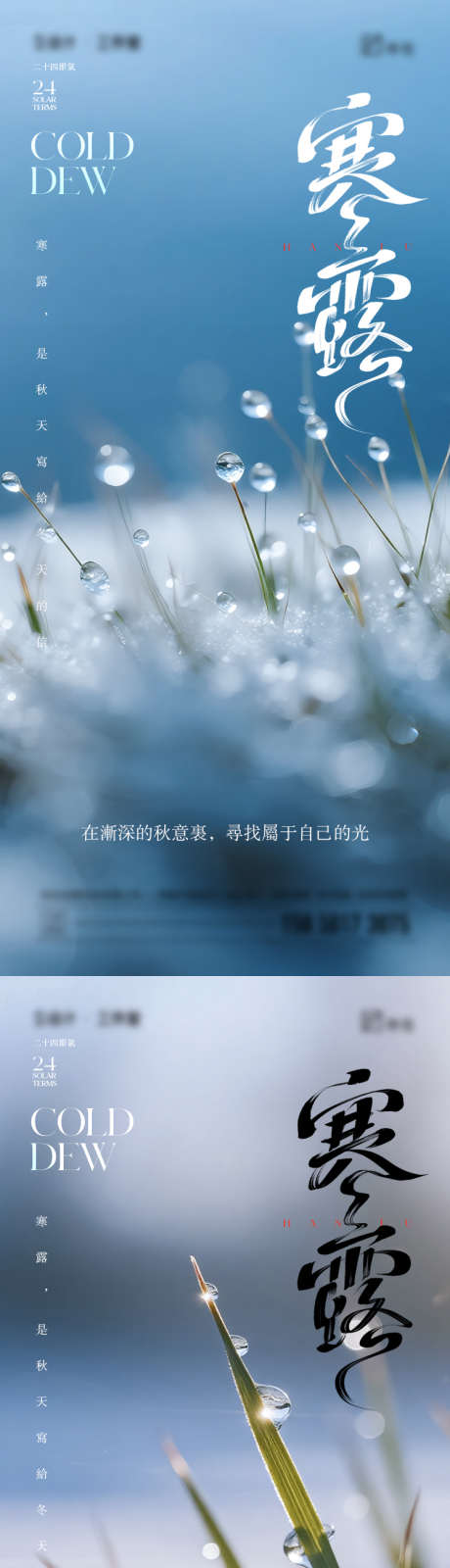 寒露节气海报_源文件下载_PSD格式_750X4872像素-植物,水珠,寒露-作品编号:2025092609453450-志.设′网